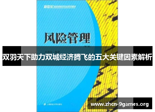 双羽天下助力双城经济腾飞的五大关键因素解析