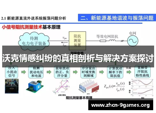 沃克情感纠纷的真相剖析与解决方案探讨